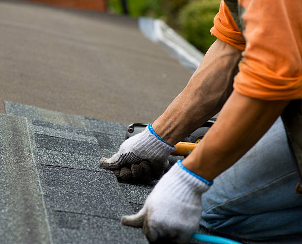 Best Metal Roofing Contractor  in Snowflake, AZ